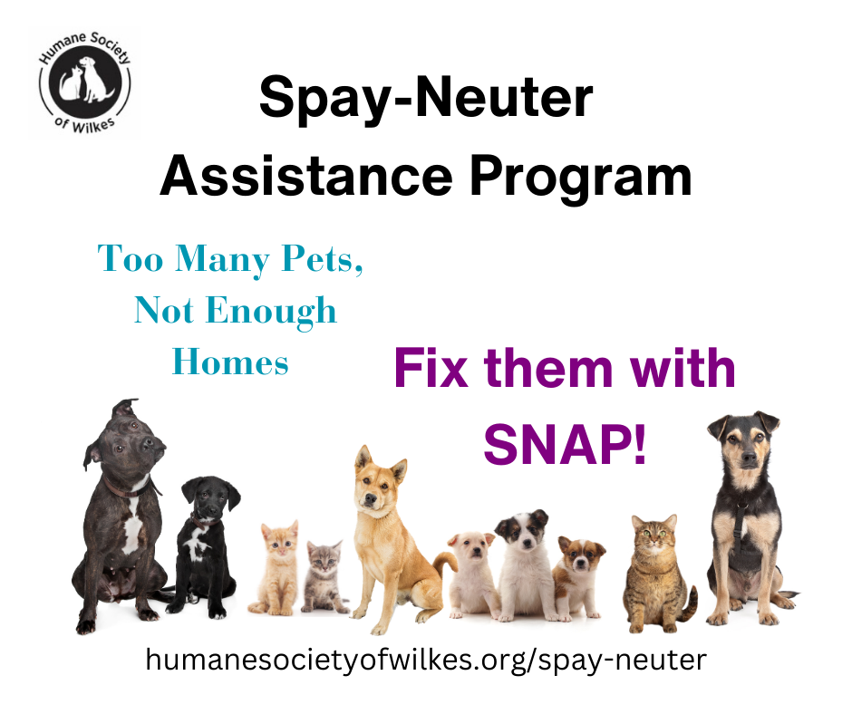Spay Neuter Assistance Program 2025