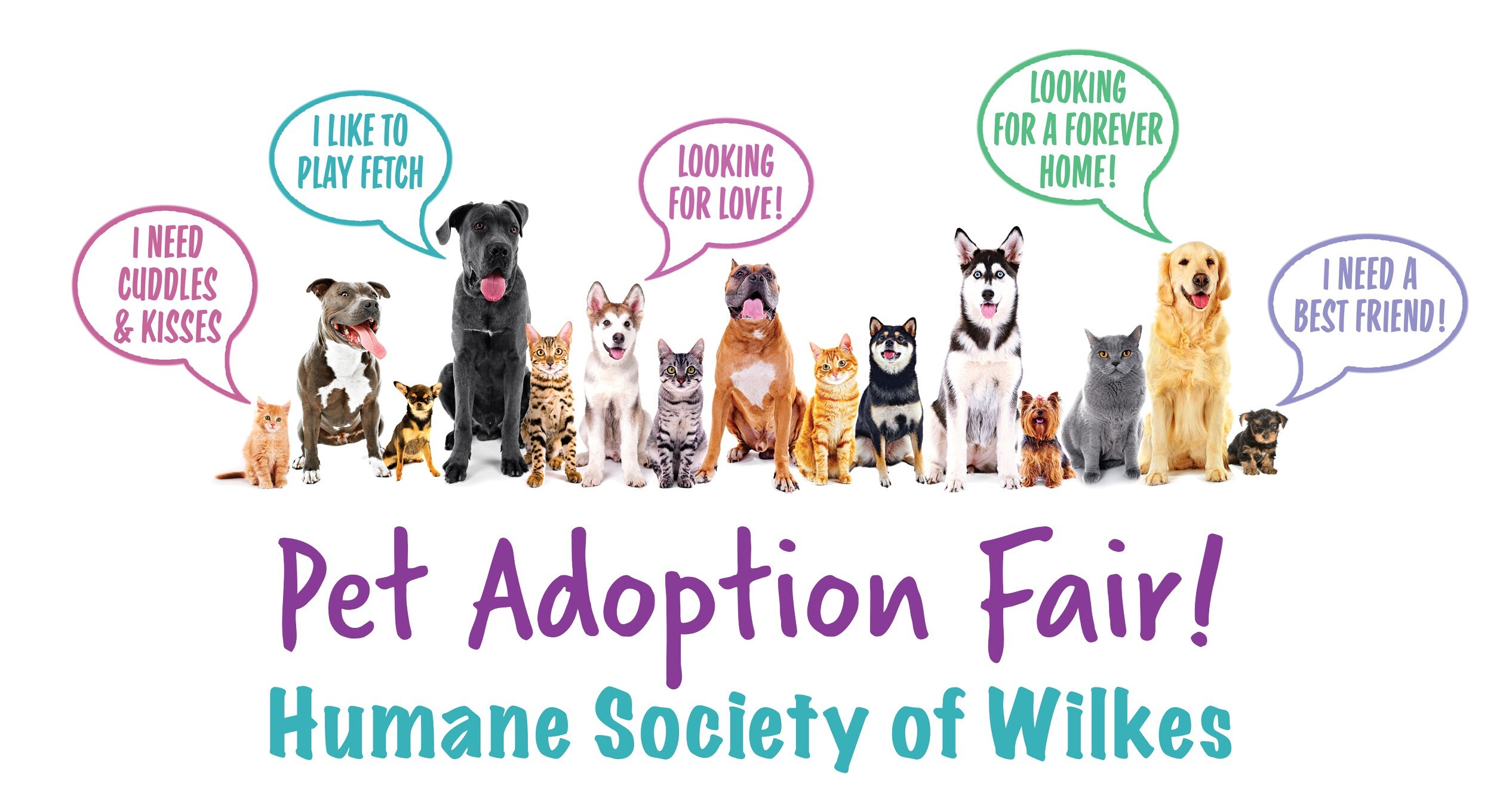 Pet Adoption Fair LARGE narrow