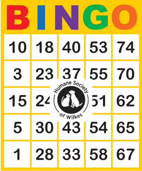 bingo w logo sm