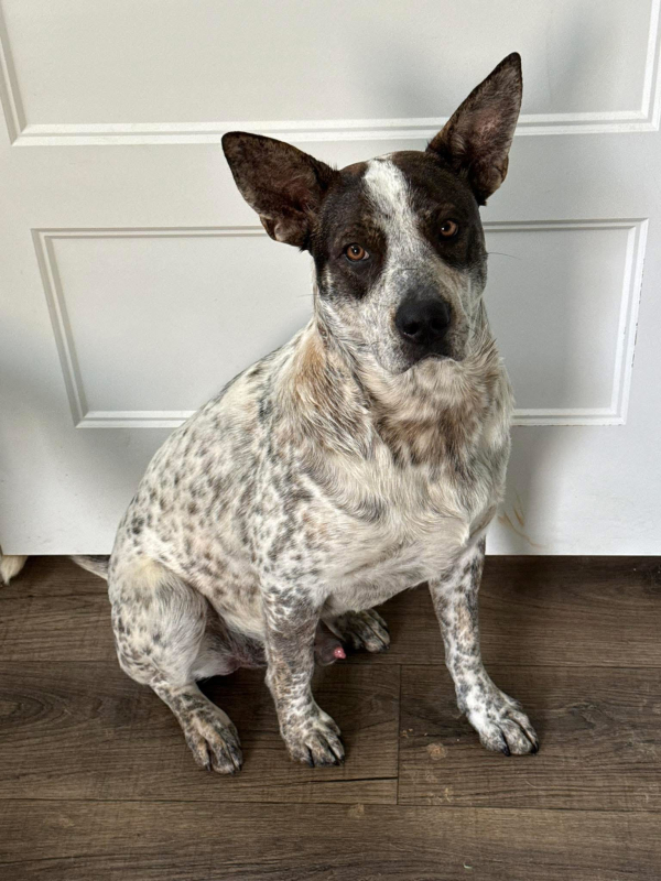 Courtesy Listing: Luke