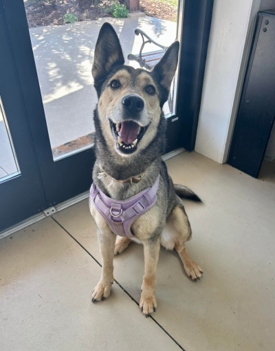 Courtesy Listing: Adele