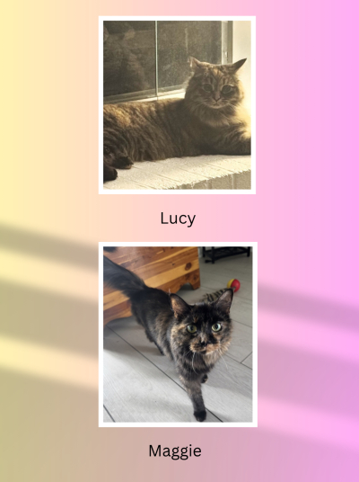 Courtesy Listing: Maggie and Lucy