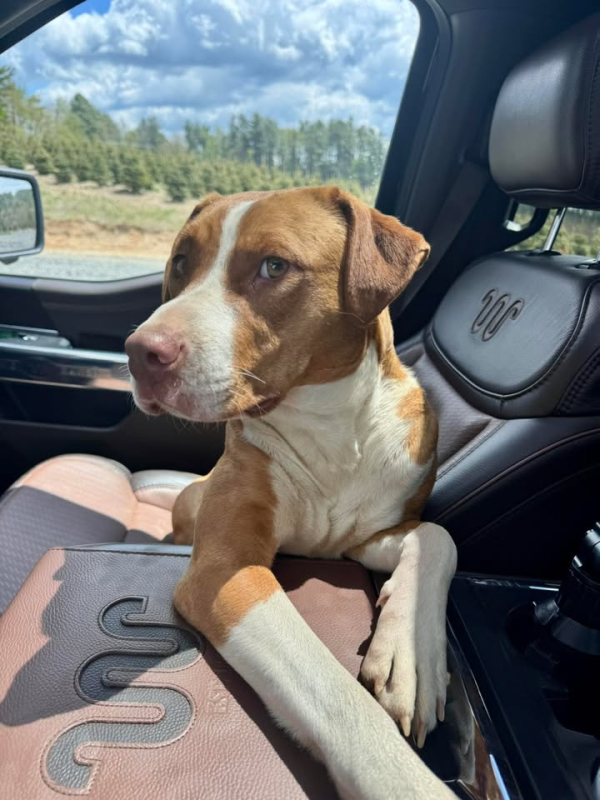Courtesy Listing: Ginger